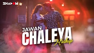 Chaleya Mega Mashup  DJ Shadow Dubai  JAWAN  Heeriye x Dil Dooba x Calm Down [upl. by Shewmaker]