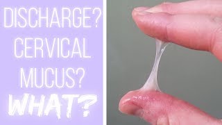 Whats Cervical Mucus The Cervical Mucus Project [upl. by Notnyw578]