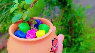 Reuse Diy Icecream Matki trending viral matki gardening ytshorts [upl. by Denison]