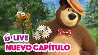 🔴 LIVE 🐻👧 Masha y el Oso 💥 NUEVO CAPÍTULO 🍯🐝 Día de Miel 🎬 Masha and the Bear [upl. by Karolyn]