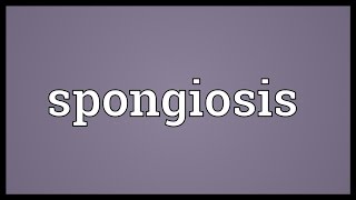 Spongiosis Meaning [upl. by Arehs]