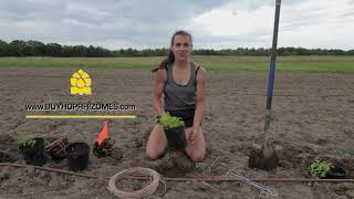 Planting and Stringing Hop Plants [upl. by Acceber]