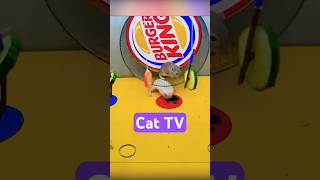 Cat TV shorts videos for cats to watch cat tv [upl. by Ahsenrad]