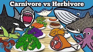 Carnivore vs Herbivore Sea Animals  Lets Draw amp Color Sharks amp Whales and Learn Fun Animal Facts [upl. by Beverly]