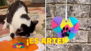 Gatito con Problemas Neurológicos crea Hermosas Pinturas [upl. by Airebma]