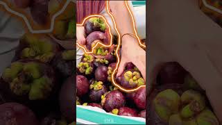 Omg😱इतना महेगा फलpart1 shortvideo viral tranding fruits chinese fruits [upl. by Conrado]