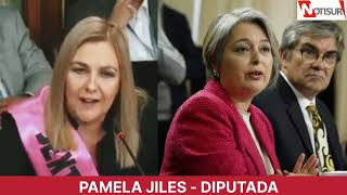 Pamela Jiles quotEl Gobierno le va a enajenar sus fondos perderán la propiedad privada de sus fondosquot [upl. by Siffre]