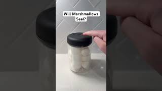 Will Marshmallows Seal marshmallows vacuumsealer satisfying [upl. by Itaws]