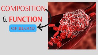 Function of blood physiology  composition of blood physiology  formed elements of blood physiology [upl. by Farika28]