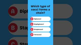 Which type of cocci forms a chain [upl. by Holmes]