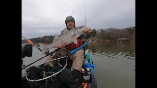 Kayak Trolling for Stripers on Lake Rhodhiss NC March 2023 [upl. by Allemac]