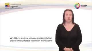 Normas Jurídicas en Discapacidad Ecuador  Tomo II  Título III Garantías constitucionales [upl. by Enajiram]