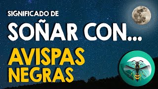 ¿Qué significa soñar con avispas negras 🐝 Animales milenarios ¿Dónde encajan en tu vida 🐝 [upl. by Lukas215]