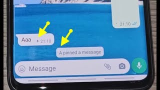 How to pin a message on Whatsapp How to unpin and replace pins in Whatsapp chats [upl. by Adeys]