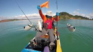 Kawakawa Bay Viking Kayak fishing Softbait Zman [upl. by Fernald]