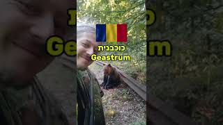 Geastrum כוכבנית ברומניה romania israel ליקוט פטריות [upl. by Barthel176]