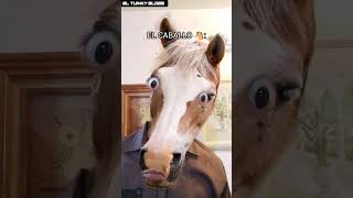 EQUITACION VEGANA 🤨🐴 shortyoutube equitation humor parodia méxico [upl. by Emie]