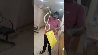 Snake rescueviralvideotrendingwildlifeyoutubeytstudioanimalssnakefarmingagriculture [upl. by Pliske976]