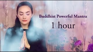 BUDDHIST POWERFUL MANTRA NO ADS in video Chanting 1 hour in Sanskrit  Amitayus [upl. by Cardinal]