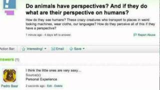 Trolling Yahoo Answers [upl. by Pamella185]