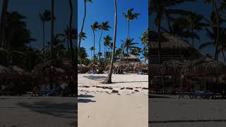 🇩🇴 Catalonia Bavaro Beach Punta Cana Dominican Rep 🌴playa bavaro bachata beachhotel resort [upl. by Frodine]