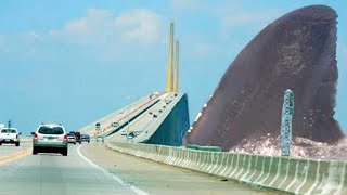 Real Photos Of The Megalodon That Proves It Exists [upl. by Eylhsa220]