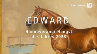 Hannoveraner Hengst des Jahres 2023 Edward v EmbassyFabrianoSingular Joter [upl. by Enortna]