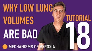 Why Low Lung Volumes are BAD [upl. by Norrat492]