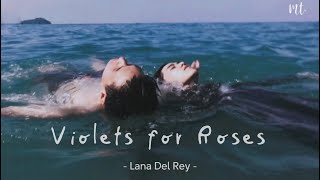 Lyrics  Vietsub Violets for Roses  Lana Del Rey [upl. by Lucilla150]