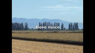 Dove nasce il Riso Nano Vialone Veronese IGP [upl. by Rakel580]