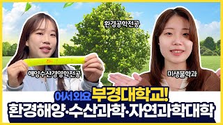 자이로TV GYRO Major CF  환경해양·수산과학·자연과학대학 편 [upl. by Jemena]