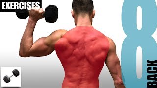 8 BACK EXERCISES YOU CAN DO WITH JUST ONE DUMBBELL [upl. by Squires]