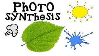 Photosynthesis for Kids  How plants make food  Animation Science [upl. by Doraj]