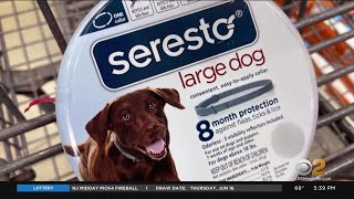 Report links Seresto fleaandtick collar to 2500 pet deaths [upl. by Hujsak]