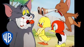 Tom amp Jerry  Animal Kingdom  Classic Cartoon Compilation  WB Kids [upl. by Leikeze965]