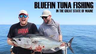 Bluefin Tuna fishing in Maine catching our first bluefin tuna along with some porbeagle sharks [upl. by Dhu138]