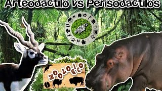 Diferencias entre artiodáctilos y perisodáctilos Ungulados Zoológico virtual  ¿Sabias Qué [upl. by Imoan]