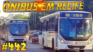 442 Av Agamenon Magalhães  em frente ao Hospital Português   Movimentação de ônibus em Recife [upl. by Yznel]