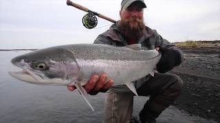 Alaska Steelhead fishing Trailer HD [upl. by Bloem]