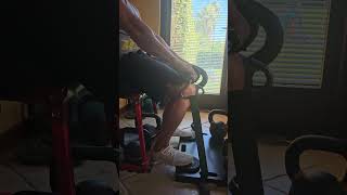 Seated calf raises with bar [upl. by Llevel435]