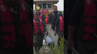 Four Yangtze finless porpoises relocated to the Yangtze River [upl. by Odnalref803]