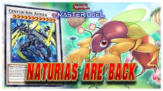 The Best New Way To Play Naturia  Naturia CenturIon Decklist  YuGiOh Master Duel [upl. by Bui821]