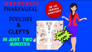 PHARYNGEAL POUCHES😀 amp CLEFTS  DERIVATIVES EASY MNEMONICS😍  NEW VIDEO 2021  Dr Vk Anatomy [upl. by Beckerman]