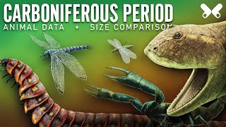 CARBONIFEROUS Period Animals size comparison and data [upl. by Nednil]