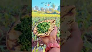 bodeli agriculture naswadi agriculturefarming love farming chotaudepur agriculturalsystem [upl. by Jessabell200]