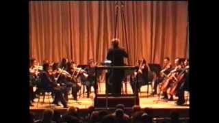 Verdi String Quartet 1st movement  orchestral version [upl. by Rettig]