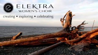 Log Drivers Waltz performed by Elektra Womens Choir [upl. by Bobbie]