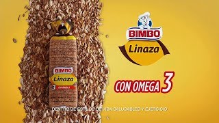 Línea BIMBO Bienestar  Pan Linaza Bimbo 2019 [upl. by Bernardine]