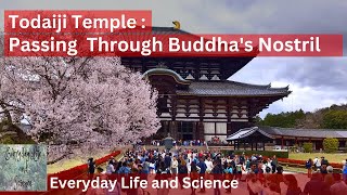 Todaiji Temple Passing Through Buddhas Nostril [upl. by Niwdla]