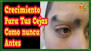 Como Hacer Crecer Las Cejas  Crecimiento Para Tus Cejas Como nunca Antes [upl. by Hsetim]